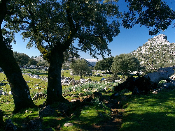 Grazalema to Benaocaz walk picture 2