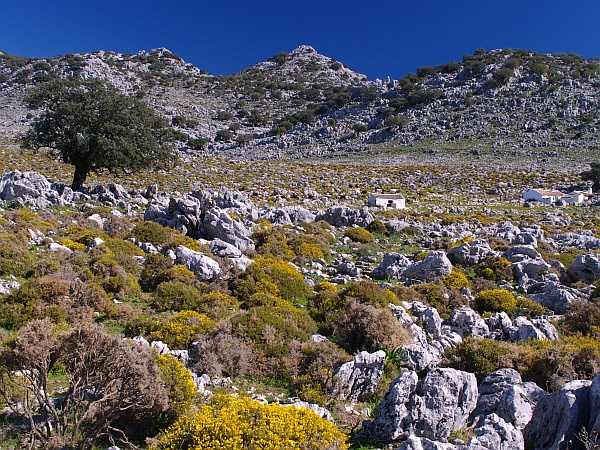 Grazalema to Benaocaz walk - a desolate farm