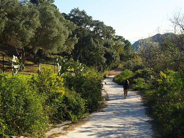 Walking near Costa-Natura on the circular route at Casares