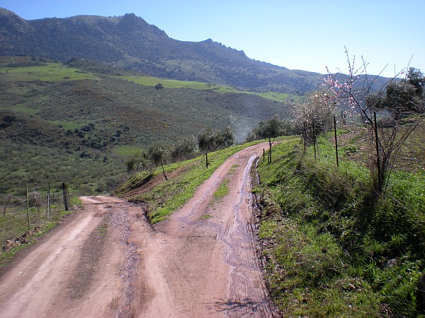 Walking near Costa Natura picture 2