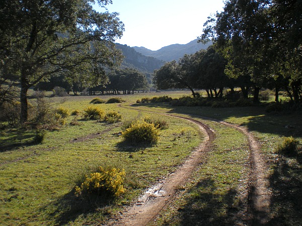 Walking near Costa Natura picture 7